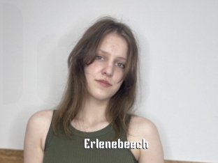 Erlenebeech