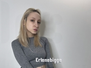 Erlenebigge