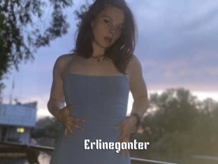 Erlineganter
