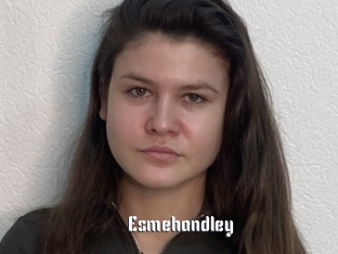 Esmehandley