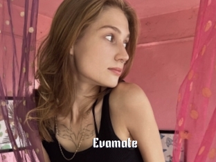 Evamate
