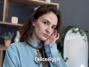 Felicediggle