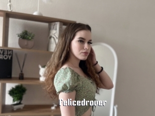 Felicedrover