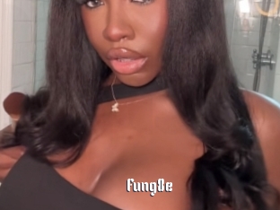 Fung8e