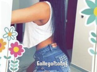 Gallegoisabel