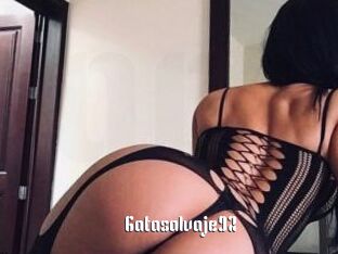 Gatasalvaje92
