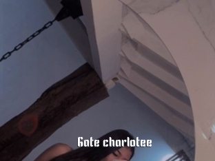 Gate_charlotee