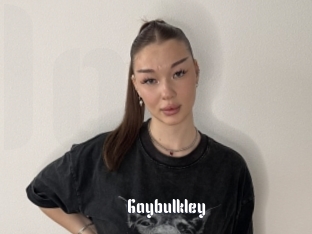 Gaybulkley