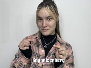 Gayhaizenberg