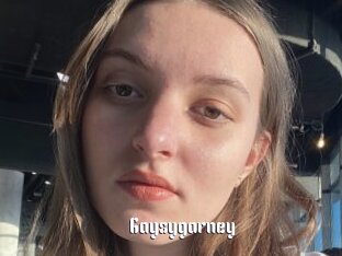 Gaysygarney