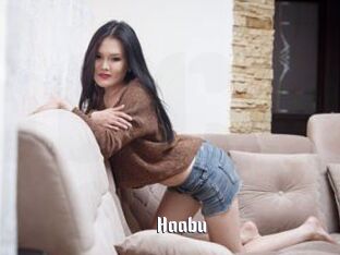 Haabu