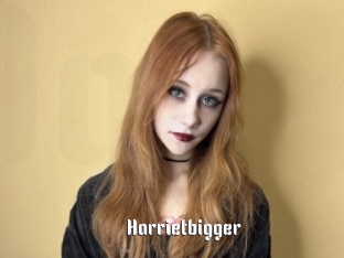 Harrietbigger