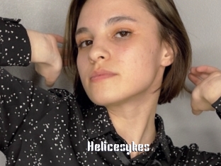 Helicesykes