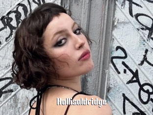 Hollisaldridge