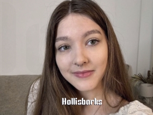 Hollisbarks