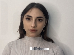Hollisbeam