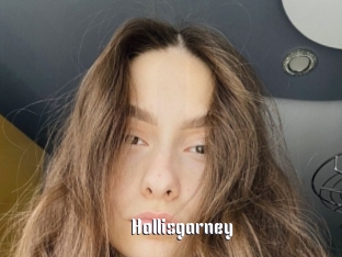 Hollisgarney