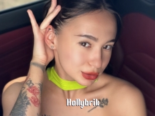 Hollybrik