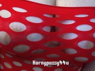hornypussy44u 1 grosse chatte