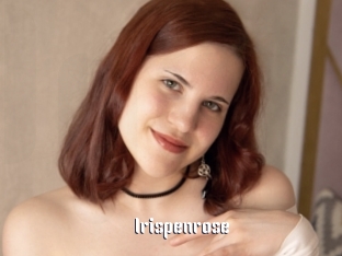 irispenrose 1 grosse chatte