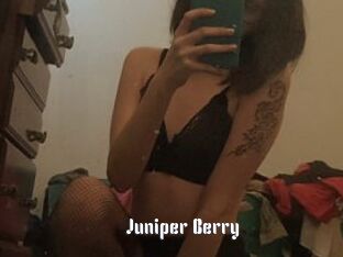 Juniper_Berry