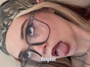 Kalykat