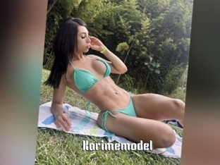 Karimemodel