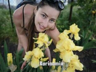 Karinamix