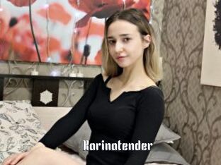Karinatender