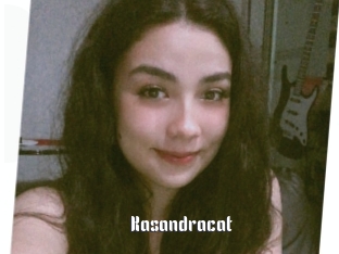 Kasandracat