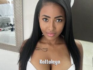 Kattaleya