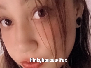 Kinkyhousewifee