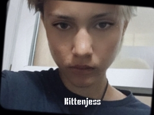 Kittenjess