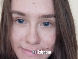 Kriisboom