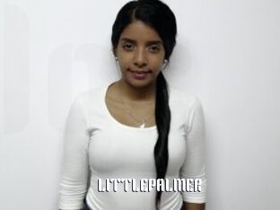 LITTLEPALMER