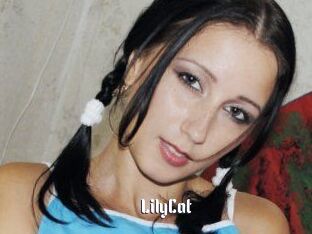 Lily_Cat_