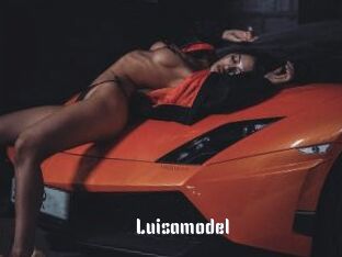 Luisamodel