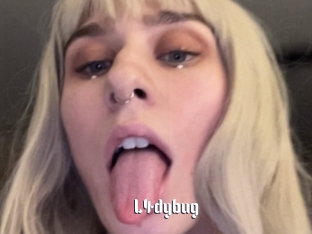 L4dybug