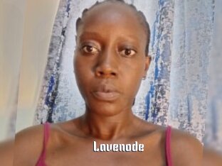 Lavenode