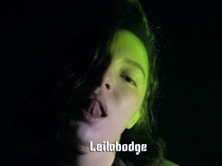Leilabodge