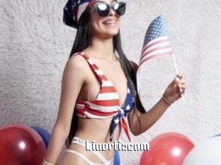 Liaortizcam