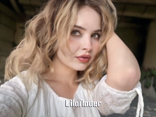 Lilaflauer