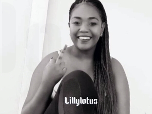Lillylotus