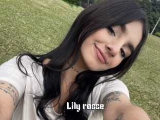 Lily_rosse