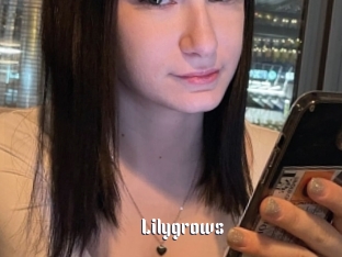 Lilygrows