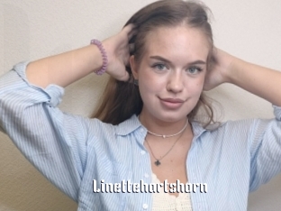 Linettehartshorn