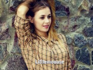 Littlemouuse