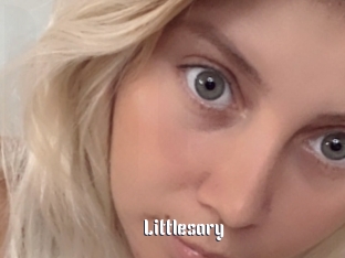 Littlesary