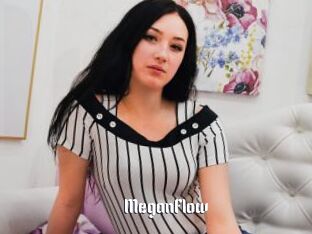 MeganFlow