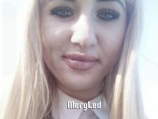 MeryLed